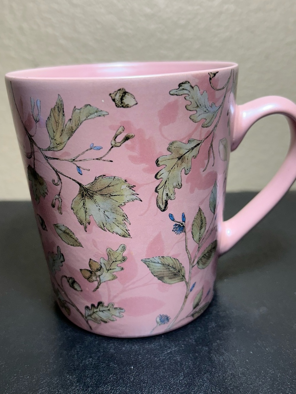 Fig & Fern Pink Botanical Ceramic Coffee Mug with Leaf Motif X-Large